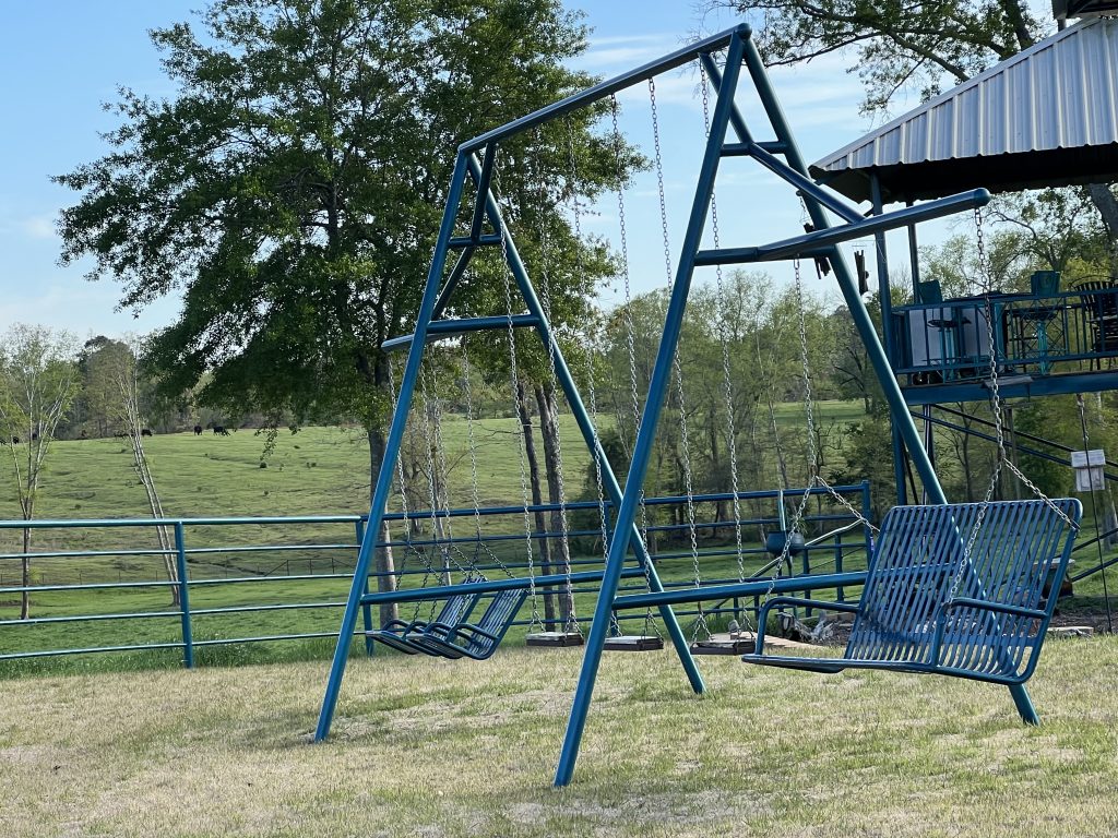 Large frame w/ standard full size swing, 2 half swing & 3 playground swings (custom price)